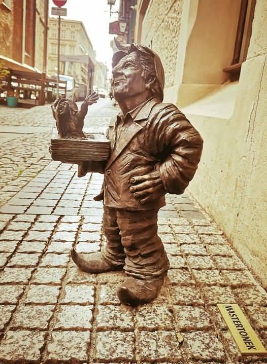 GM Gnome - Wroclaw