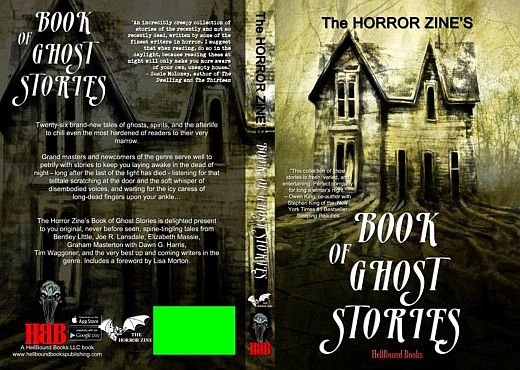 Horror Zine Book of Ghost Stories cover