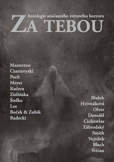 Za Tebou (Behind You) - Czech cover